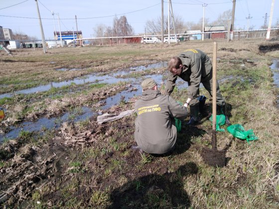 Выездное обследование земельного участка  в городе Рузаевка 