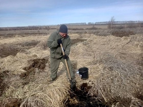 Выездное обследование земельного участка 